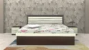 linea-Kingsize-hydraulic-bed-with-clean-horizontal-panel-headboard-and-rich-wood-finish-for-a-sleek-contemporary-look-scaled.webp