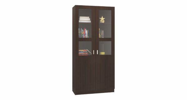 BOOK RACK UNIT 2 DOOR